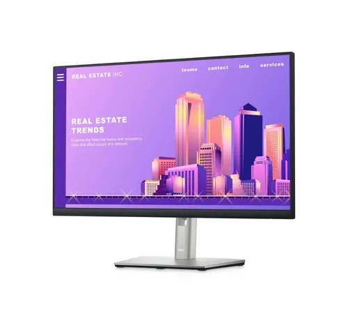 Dell P2422H 24