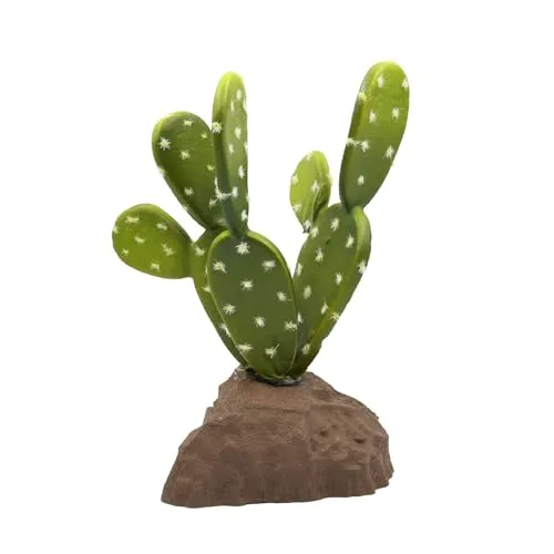 Lucky Reptile Biberschwanzkaktus