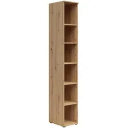Carryhome Regal MULTISTAURAUM