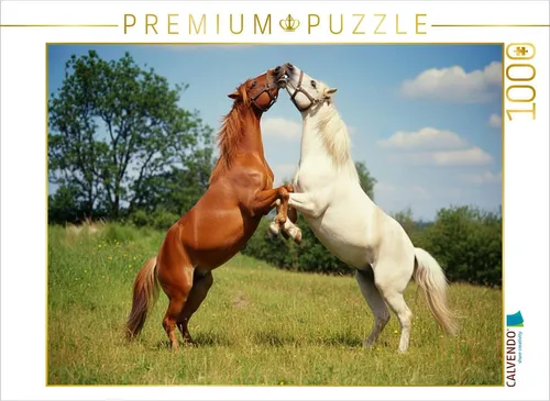 CALVENDO Puzzle Spielende Pferde auf der Koppel | 1000 Teile Lege-Größe 64 × 48 cm Foto-Puzzle für glückliche Stunden