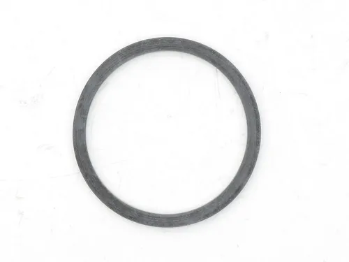 Hans Grohe Dichtung 98166000