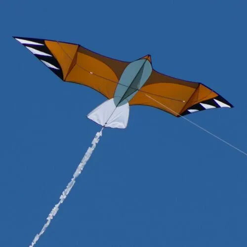 CiM Flug-Drache Eagle, 196x113cm