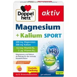 Doppelherz Magnesium+kalium Sport Brausetabletten von Queisser Pharma