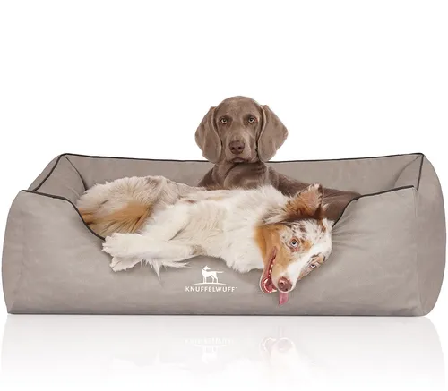 Knuffelwuff Orthopädisches Hundebett Rockland XXXL 155 x 105cm - Hundebett aus pflegeleichtem Kunstleder mit orthopädischer Memory Foam Matratze für gesunden Schlaf und optimale Druckentlastung – ideal für große Hunde.