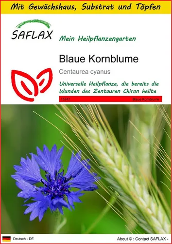 SAFLAX Blumensamen SAFLAX - Anzuchtset - Blaue Kornblume