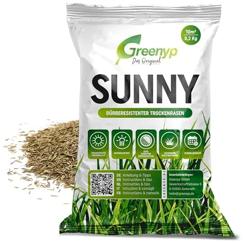 Greenyp® Sunny I dürreresistenter Trockenrasen I 0,2kg für 10m² I Grassamen Rasensamen Rasensaat Gras Nachsaat schnellkeimend