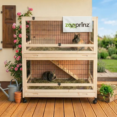 Zooprinz Kleintierstall Knuffel auf Rollen - Mobiler Hasenstall mit Klappdach, 2 Etagen - Ställe für Kaninchen & Kleintiere, mobiler Hasenstall mit praktischem Klappdach und zwei Etagen für mehr Bewegungsfreiheit – ideal für kleine Gärten und Terrassen.