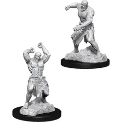 D&D Nolzur's Marvelous Miniatures Flesh Golem
