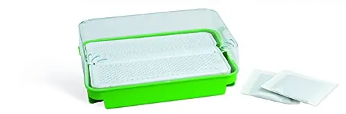 Romberg Anzucht-Set (Anzucht von Kresse, Farbe Grün, inkl. Samen, züchten, anbauen) 10094236