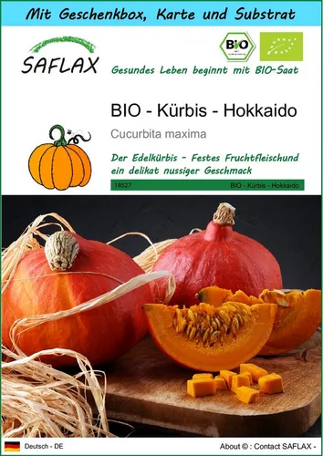 SAFLAX Gemüsesamen SAFLAX - Geschenkset - BIO - Kürbis - Hokkaido