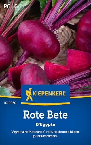 Kiepenkerl Rote Betesamen D'Egypte 1010950 von Kiepenkerl