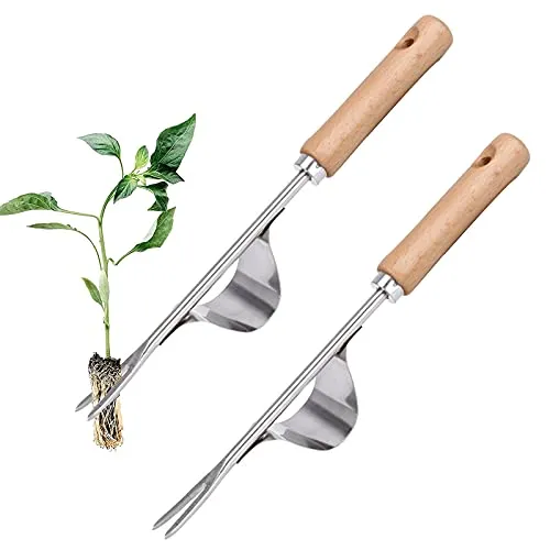 Unkrautstecher Edelstahl Ampferstecher mit Stiel Unkrautjäter Garten Hand Weeder mit Holz Stiel Manueller Weeder Gartenwerkzeug zum Graben, Jäten, Lösen, Geschenk für Gärtner Gärtnerinnen(2 Satz )