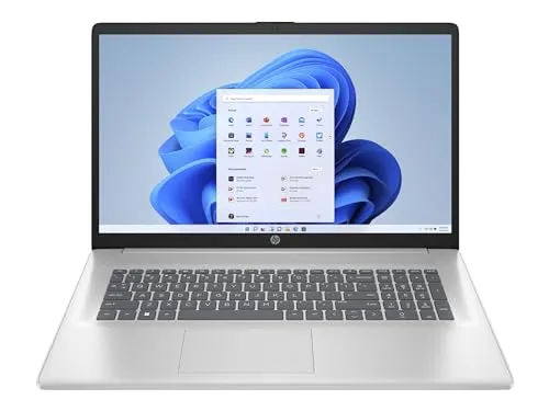 HP Silber 17,3