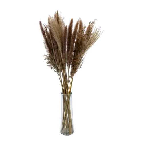 Zier Gras Arrangement mit Vase - 2 Sorten - Pampas Wedel Trocken Blume Boho Deko
