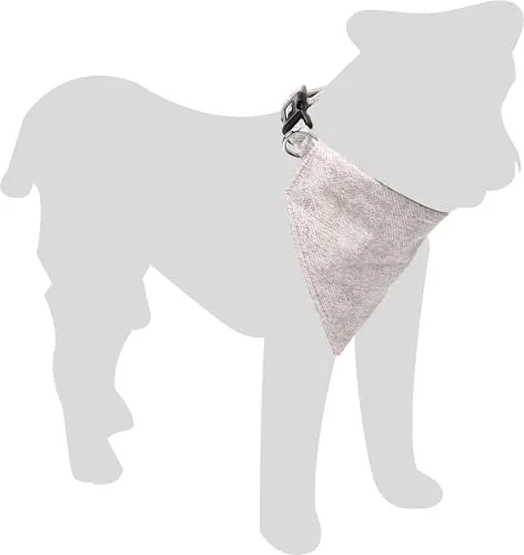 Halsband Hund - hundehalsband - Flamingo Nelson Nylon mit Bandana Grau XS | 25-40cm x 15mm x 3mm
