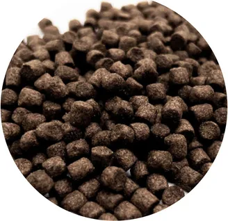 WTS Koifutter - Wheatgerm für Frühjahr & Herbst - 15 Liter 6 mm