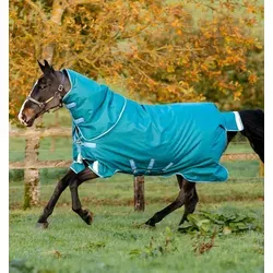 Horseware Amigo Bravo 12 Plus Turnout Heavy 400g von Horseware