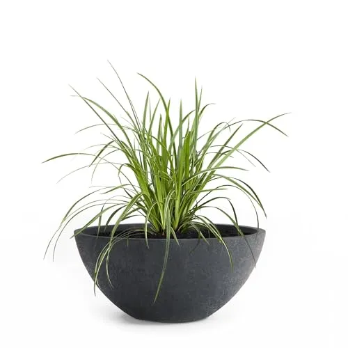 Pflanzwerk® Pflanzkübel Bowl Ø 28cm Lava Anthrazit - Hochwertige Pflanzschale für drinnen und draußen – frostbeständig und mit innovativer Imprägnierung für hohe Langlebigkeit. Optimaler Wasserablauf durch integriertes Loch. Ideal für kreative Pflanzideen!