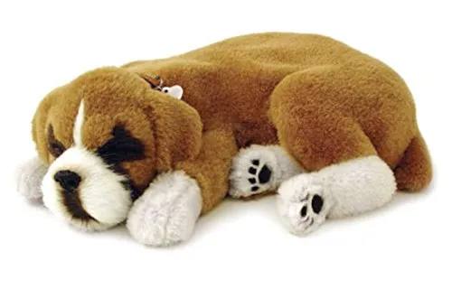 Perfect Petzzz 96187 Boxer