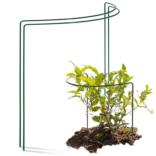 Novatool 2 Strauchstütze halbrund 40 cm Ø50 cm hoch grün Staudenhalter Blumenhalter Rankengewächs Pflanzenstütze Blumenstütze Staudenstütze Rankhilfe Strauchhalter Rosenstütze