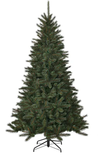 Black Box Trees Toronto Künstlicher Weihnachtsbaum - H120 x Ø87 cm - Grün - Künstlicher Weihnachtsbaum mit Frost-Effekt für winterliche Stimmung. Natürlicher Look, einfach aufzubauen und zu schmücken. Inklusive 5 Jahre Garantie für langanhaltende Freude in der Weihnachtszeit.
