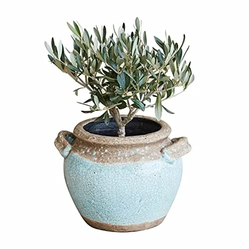 Loberon Übertopf Elisa - Mediterraner Übertopf aus handgetöpferter Terrakotta, teillackiert für langlebige Nutzung und ideal, um Urlaubsflair in Ihren Garten zu bringen.