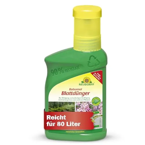 Neudorff Balsamol Blattdünger 250 ml – Stärkung für geschwächte Pflanzen - Effektiver Blattdünger für die schnelle Revitalisierung von Pflanzen wie Rosen und Tomaten. Einfach anzuwenden, ergibt bis zu 80 Liter Spritzbrühe. Für eine optimale Nährstoffaufnahme und kräftige Pflanzen.
