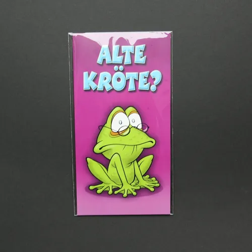 St. Schutzhüllen glasklar für DIN Lang Format 116x225 + Klappe + Verschluss 300