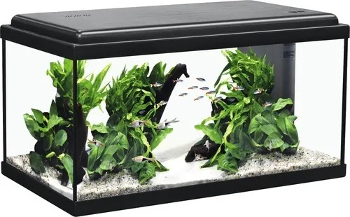 Aquatlantis Aquarium-Set Advance 60 LED Schwarz 48 l