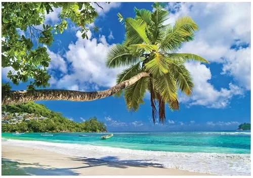 WallArena - Vlies Fototapete Strand und Meer 350x250 cm - Fototapeten - Tapeten - für Wohnzimmer Schlafzimmer - Vliestapete Wandtapete Tapete 3D Effekt- inkl. Kleister - Ozean tropisch Landschaft