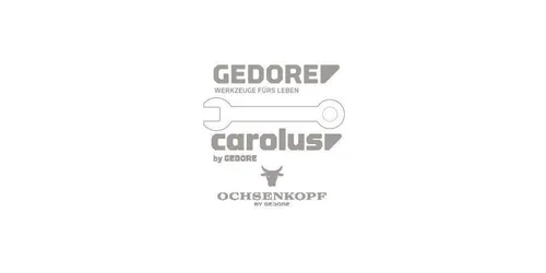 Gedore E 224-40 8822910 Ersatzkopf 40g 1St.