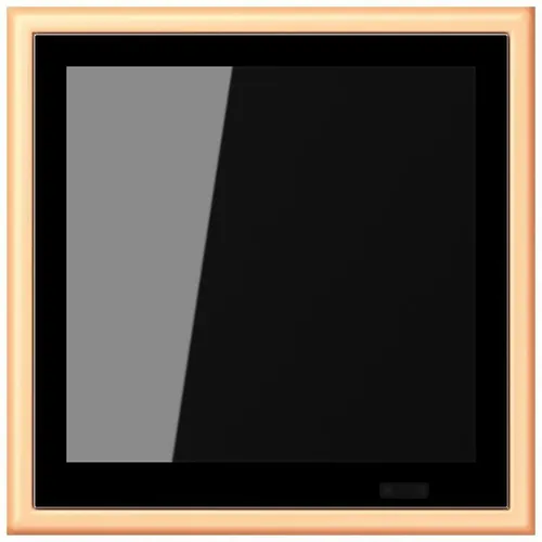 JUNG KNX Raumcontroller (LC459D1S258) von Jung