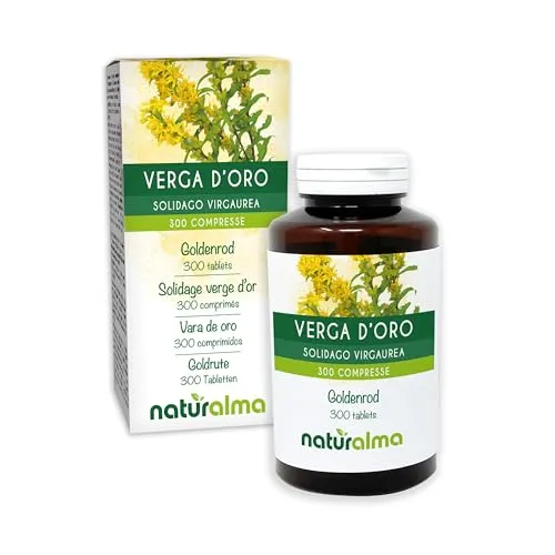 Goldrute (Solidago virgaurea) Kraut mit Blüten Naturalma