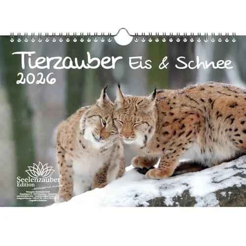 Tierzauber Eis und Schnee DIN A4 Kalender für 2026 Tiere aus dem Polargebiet - Seelenzauber
