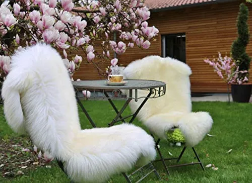 Traumfänger von Hollert