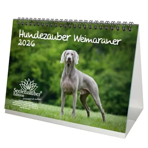 Seelenzauber Hundezauber Weimaraner DIN A5 Tischkalender für 2026 Welpen und Hunde