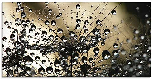 ARTland Wanddeko Glasbilder Wandbild Glas Bild einteilig 60x30 cm Querformat Natur Botanik Blumen Pusteblume Frühling Wassertropfen Modern S5YR