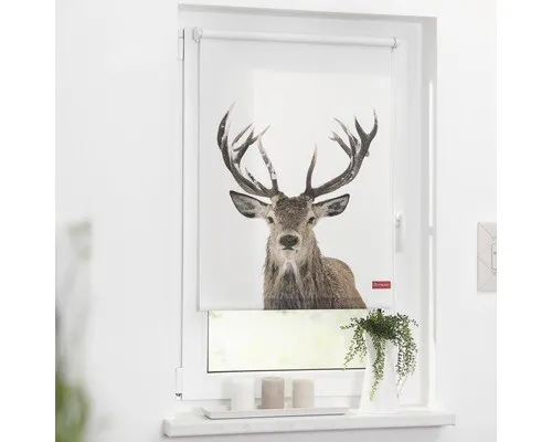 Klemmrollo Lichtblick ohne Bohren Hirsch weiß 45x150 cm - Jalousien & Rollos – Blickdichtes Rollo ohne Bohren, ideal für einfache Montage und vielseitigen Einsatz in jedem Raum.