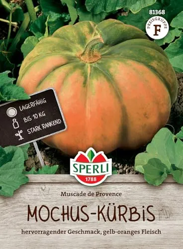 Sperli Mochus-Kürbissamen Muscat de Provence 81368 in braun von SPERLI