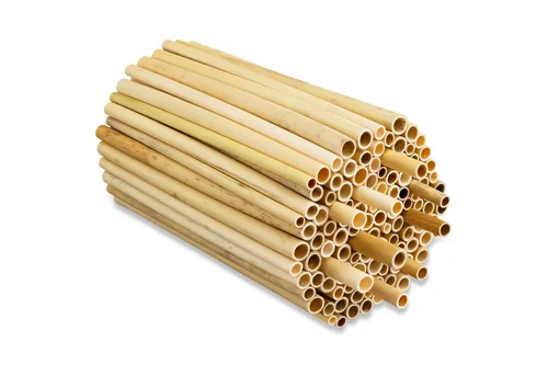 BEESI Insektenhotel 500x Naturbelassen Niströhren für Wildbienen - Insektenhotels mit 500 naturbelassenen Schilfrohren, ideal für Wildbienen, inklusive E-Book für optimale Nutzung und Pflege.