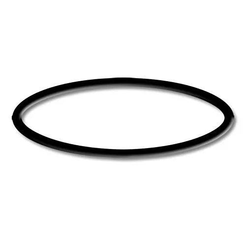 SunSun Schwimmbadpumpe HZS-750 Ersatzteil O-Ring 3 Poolpumpe Pumpe Pool