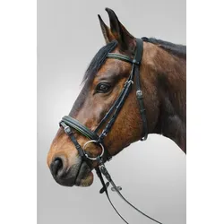 Star Diamant Trense mit kombiniertem Reithalfter