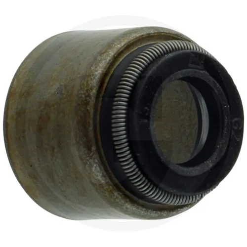 Briggs u. Stratton DICHTRING | 690968 | 024847237900