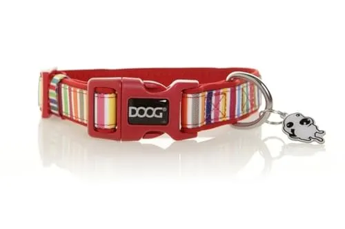 DOOG Neopren-Hundehalsband – Scooby – Leichtes, schnelltrocknendes, antimikrobielles und wasserfreundliches Halsband für empfindliche Haut und aktive Hunde – Extra klein