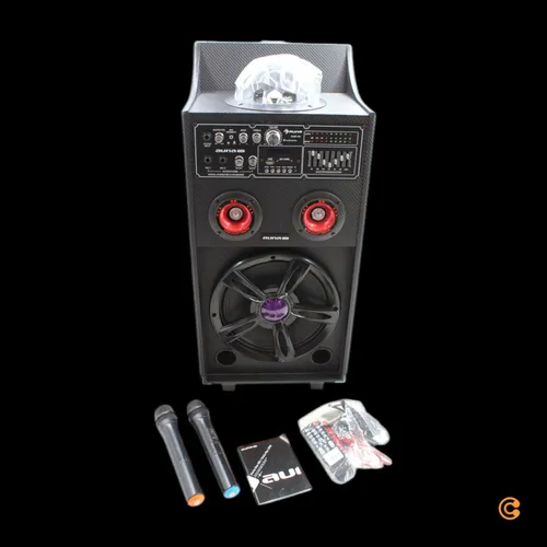 Auna DisGo Box 100 PA-System 100W RMS Bluetooth SD-Slot LEDs USB SIEHE TEXT/FOTO