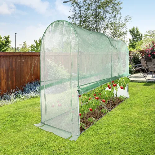 Haushalt International Foliengewächshaus Tomaten Tunnel 300 x 100 x 200 cm - Geräumiges Gewächshaus für Tomaten mit 3 stabilen Metallbögen. Bietet optimalen Schutz vor Kälte und sorgt für ideales Wachstumsklima im Garten.