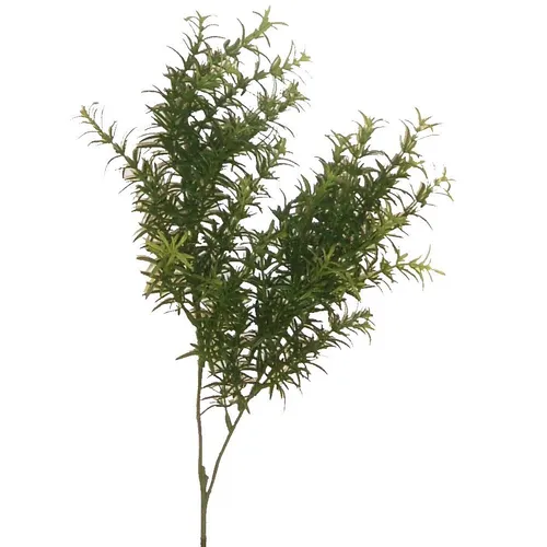 Kunstpflanze SPRENGERIEZWEIG  50-65cm. Künstlicher Asparagus Zierspargel Beiwerk