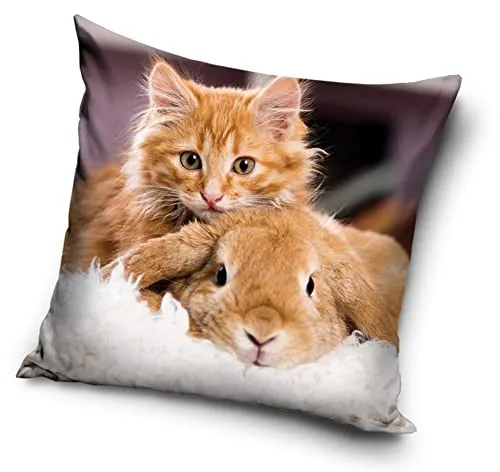 Katzen Baby Motiv Kissenhülle Kissenbezug 40x40 cm (PNL213010)