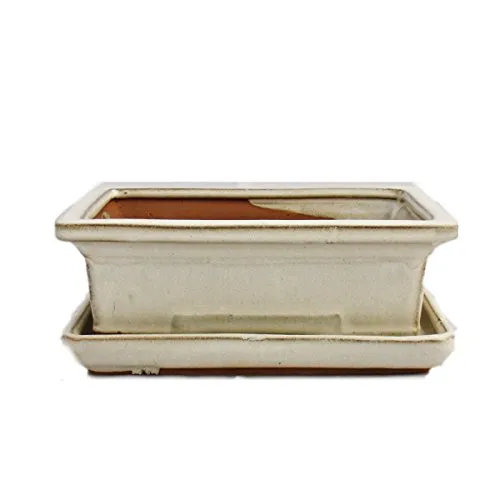 Exotenherz Bonsai-Schale mit Unterteller, hellbeige, 18cm in beige von Exotenherz