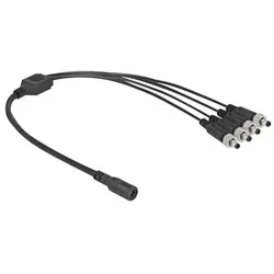 Delock - Netz-Splitter - Gleichstromstecker 5,5 x 2,1 mm (W)